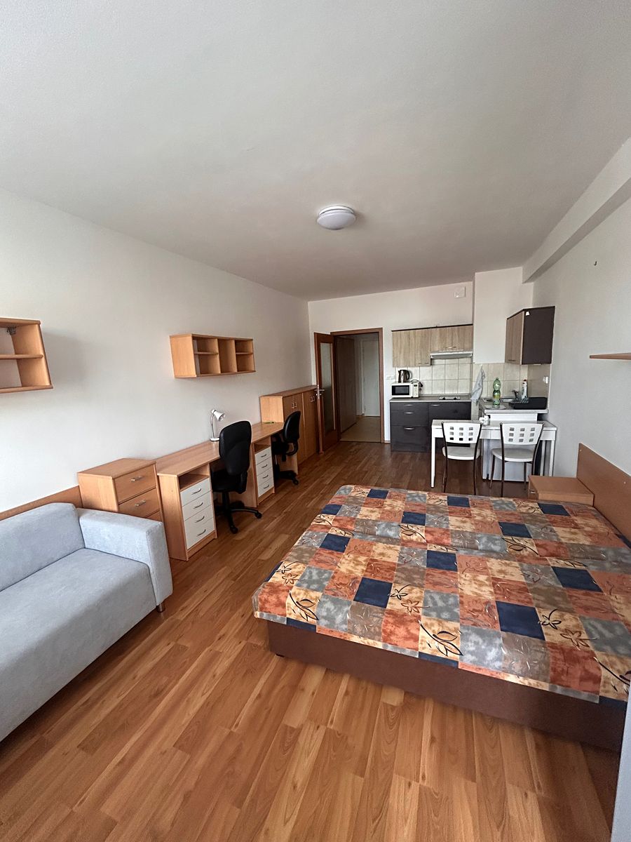Pronájem bytu 1+kk 30 m²