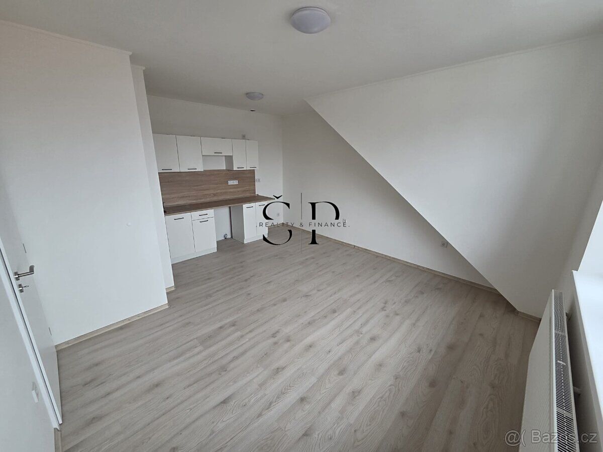 Pronájem bytu 1+1 41 m²