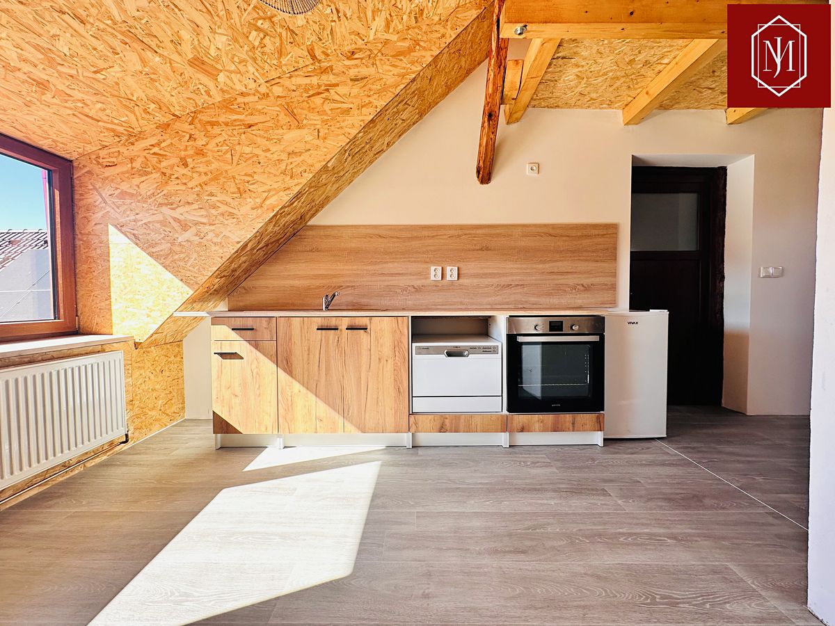 Pronájem bytu 1+kk 60 m²
