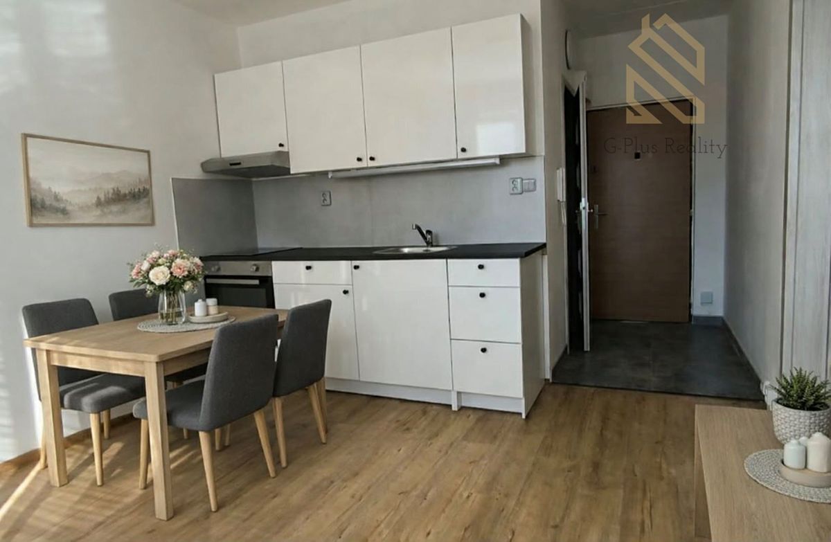 Pronájem bytu 1+1 35 m² – fotografie 2