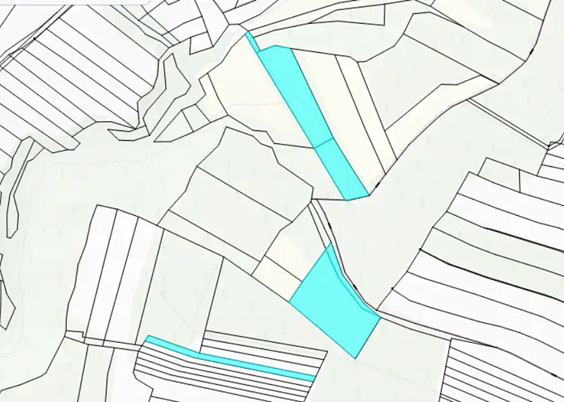 Prodej pole 15454 m², Černín – náhled fotky 3
