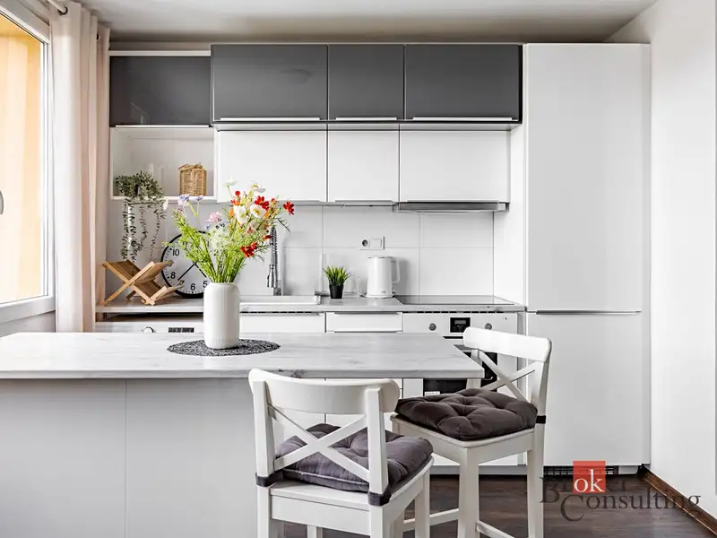 Pronájem bytu 1+1 38 m², České Budějovice – náhled fotky 3