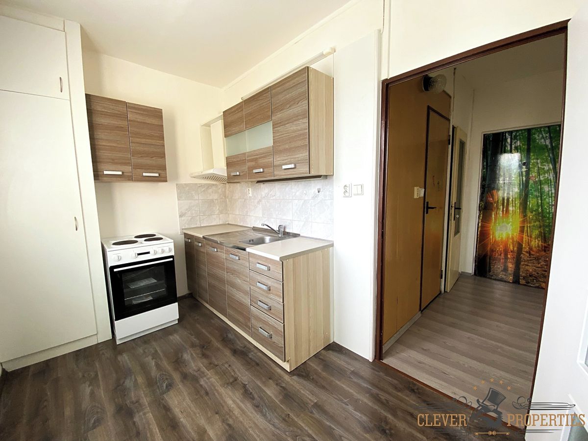 Pronájem bytu 1+1 32 m²