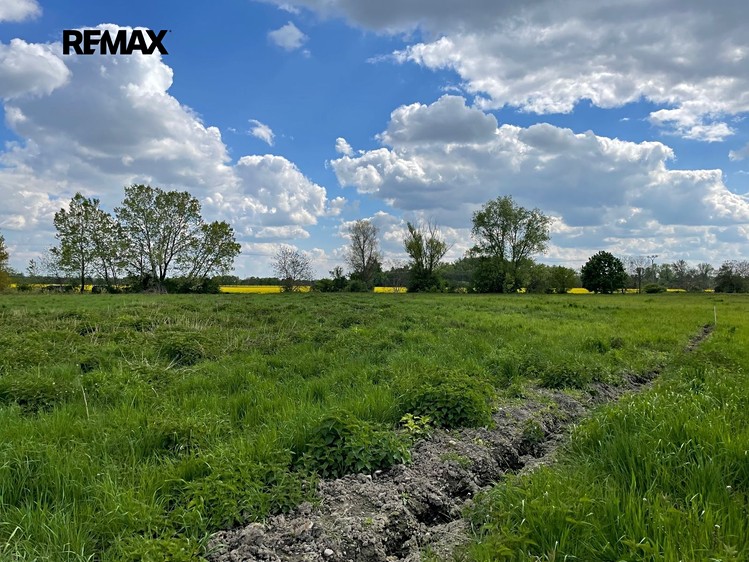 Grundstück zum Kauf, 4.547 m² (19 von 28)