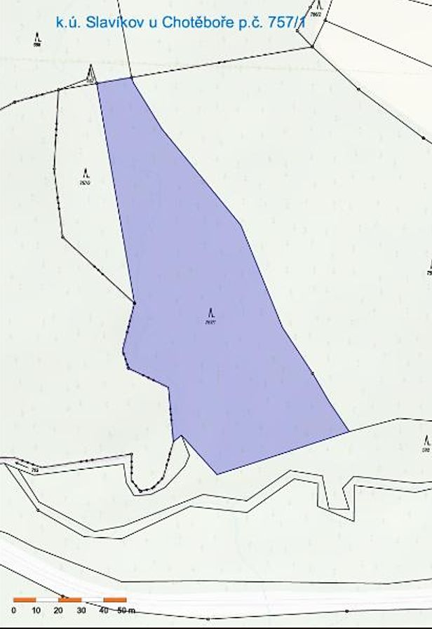 Prodej lesa 8906 m² – fotografie 2