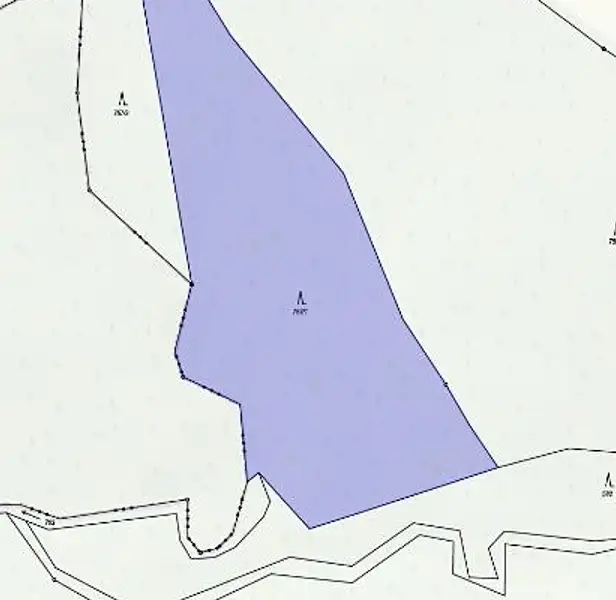 Prodej lesa 8906 m², Slavíkov – náhled fotky 2