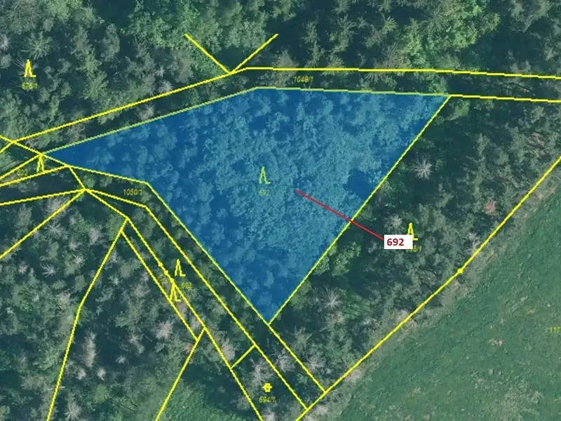 Dražba lesa 2947 m², Kuřimany – náhled fotky 2
