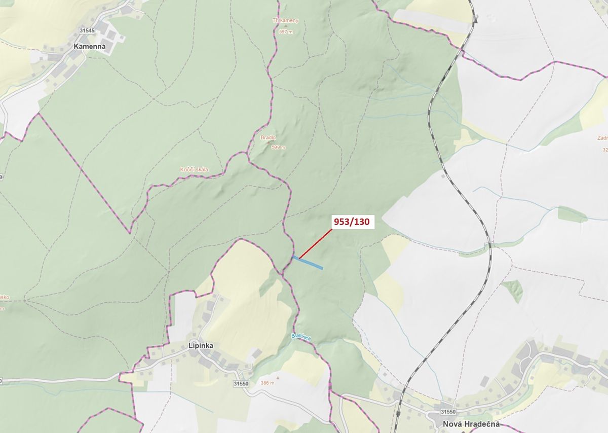Dražba lesa 5079 m², Nová Hradečná – fotka 1 z 3