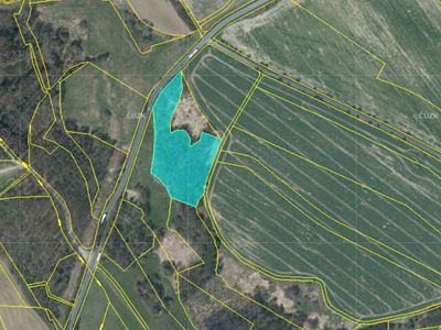 Prodej lesa 13318 m²