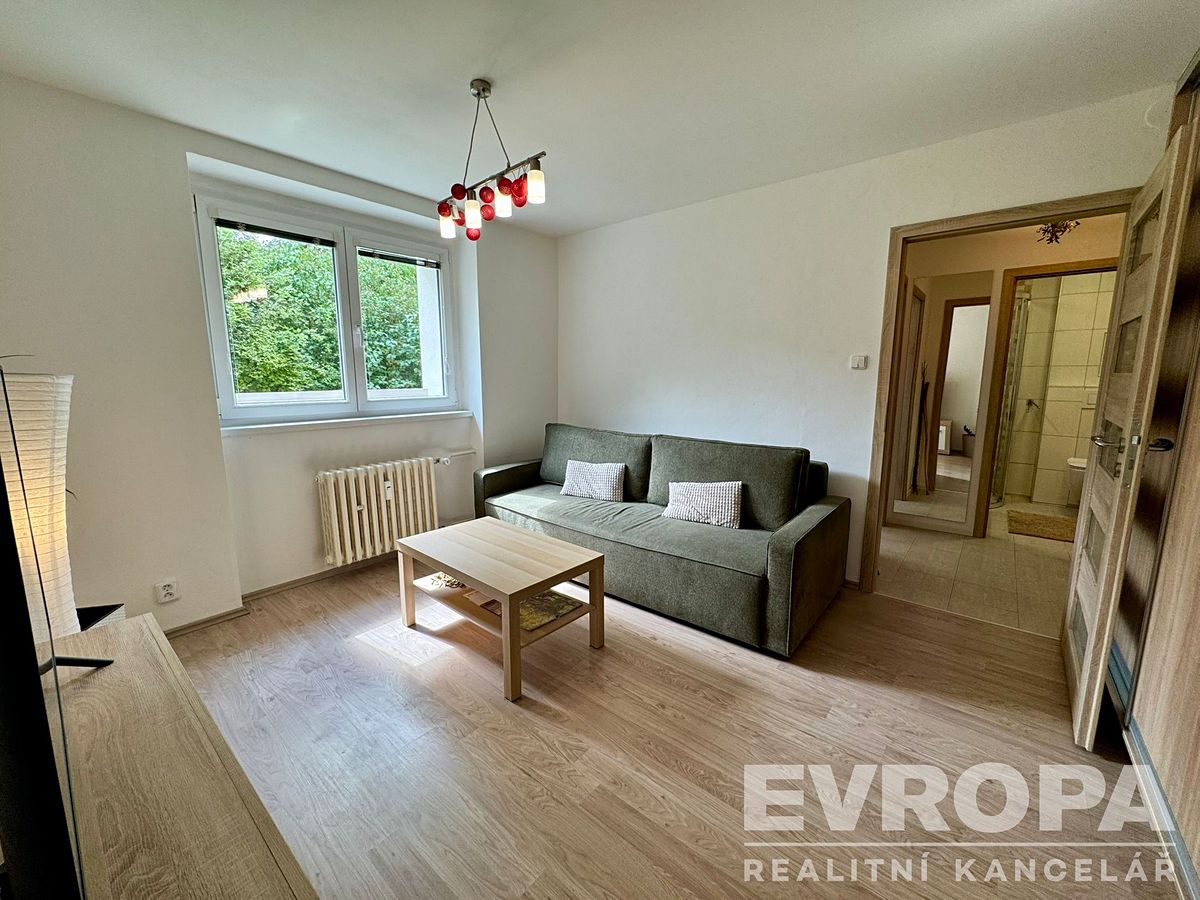 Pronájem bytu 1+1 30 m² – fotografie 4