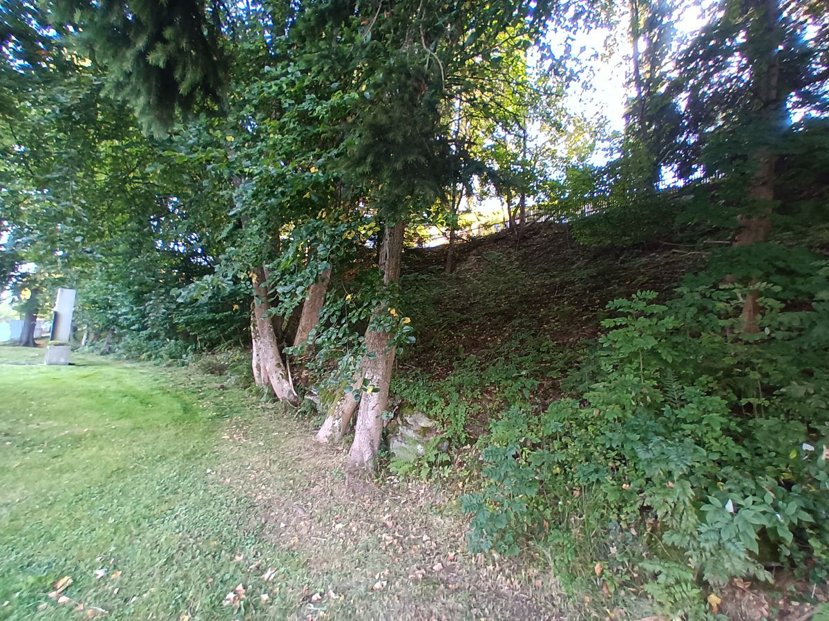 Prodej rodinného domu 91 m², pozemek 2494 m² – fotografie 5