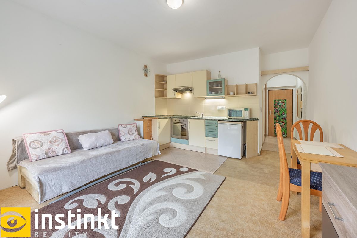 Pronájem bytu 1+kk 30 m² – fotografie 2