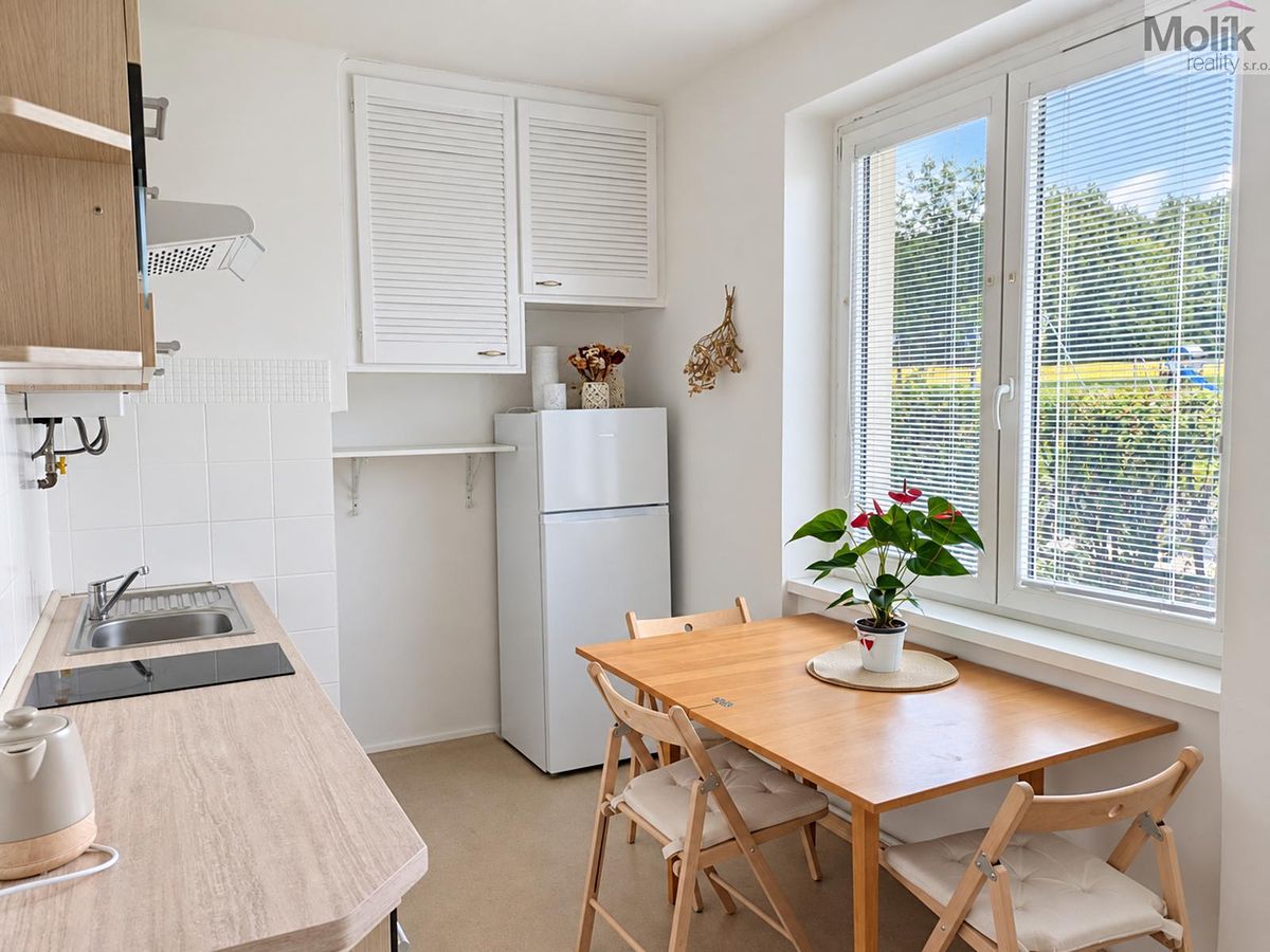 Pronájem bytu 2+1 49 m² – fotografie 2