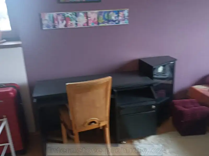 Pronájem bytu pokoje 21 m², Praha – náhled fotky 2
