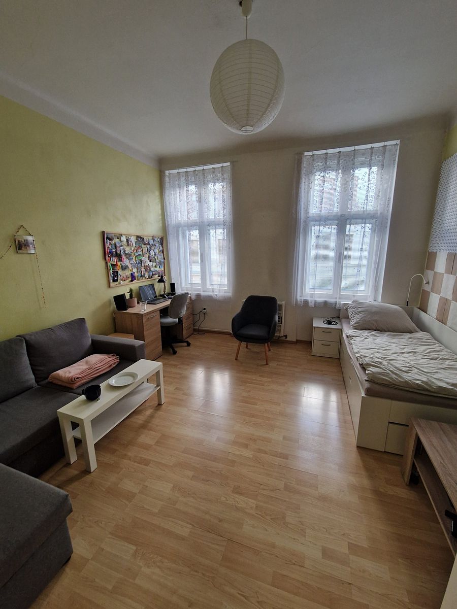 Pronájem bytu 1+1 40 m² – fotografie 2
