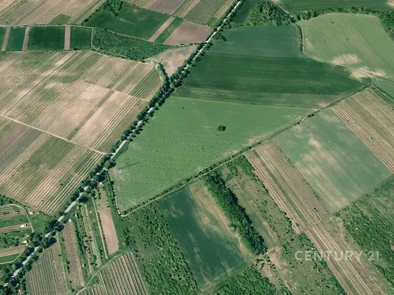 Prodej pole 4498 m², Valtice – náhled fotky 3