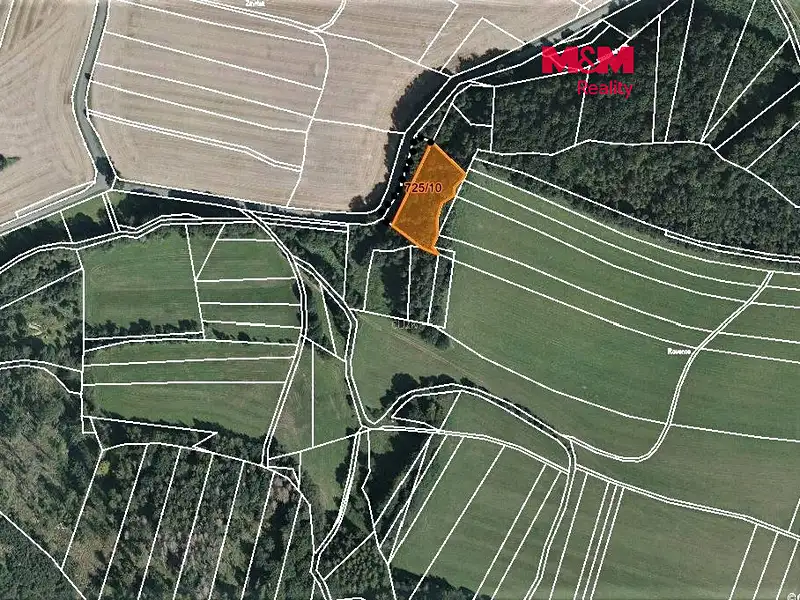 Prodej lesa 1177 m², Vranová Lhota – náhled fotky 1