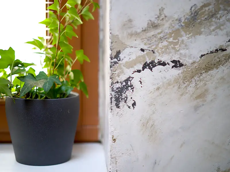 Pronájem bytu 3+kk 71 m², Praha – náhled fotky 2
