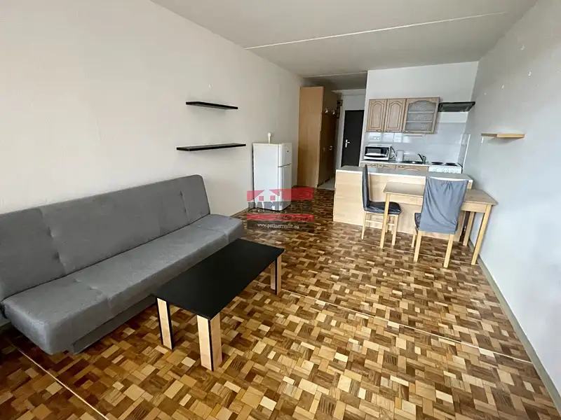 Pronájem bytu 1+kk 31 m², Tábor – náhled fotky 3