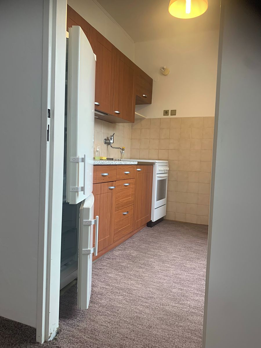 Pronájem bytu 2+1 45 m² – fotografie 5