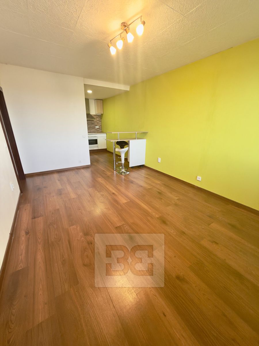 Pronájem bytu 3+kk 68 m² – fotografie 3