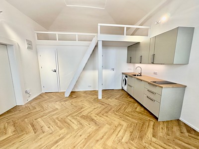 Pronájem bytu 1+kk 28 m²