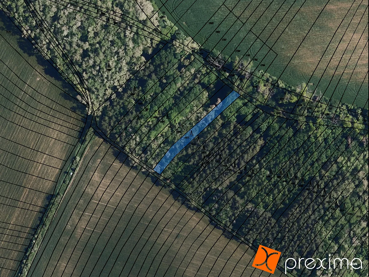Prodej lesa 766 m²