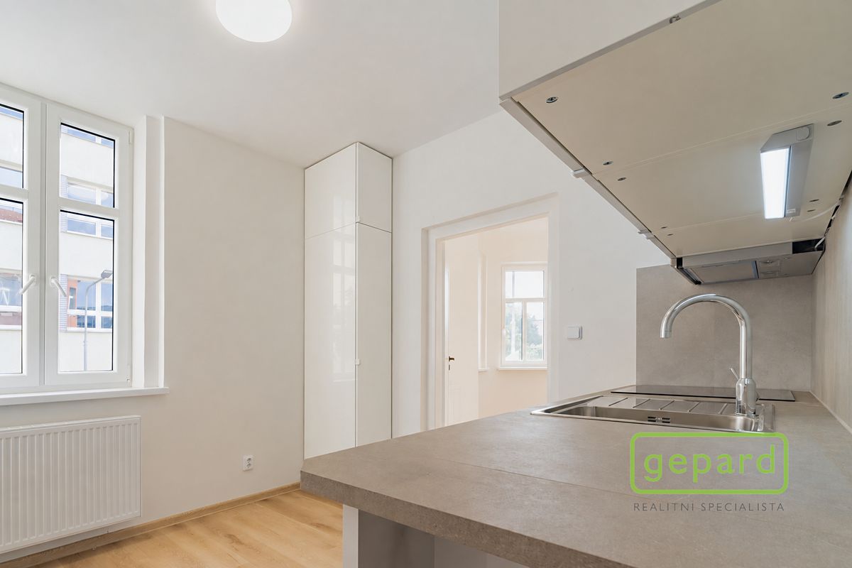 Pronájem bytu 1+1 42 m² – fotografie 3