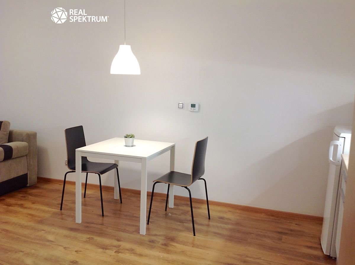 Pronájem bytu 1+kk 30 m² – fotografie 3
