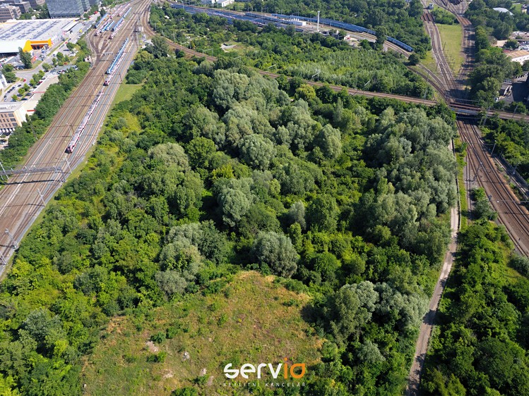 Ділянка на продаж, 8 257 м² (7 з 8)