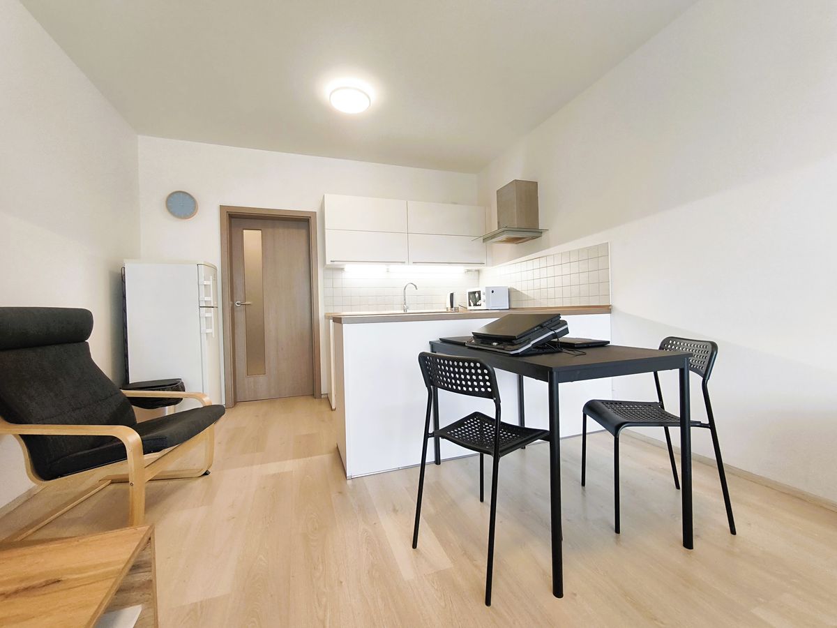 Pronájem bytu 1+kk 45 m² – fotografie 4