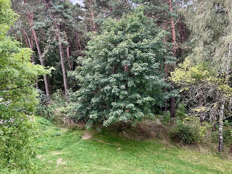 Wohnung 3+1 zum Kauf, 60 m² (23 von 23)