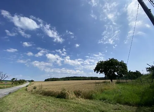 Fotka 13 z 18