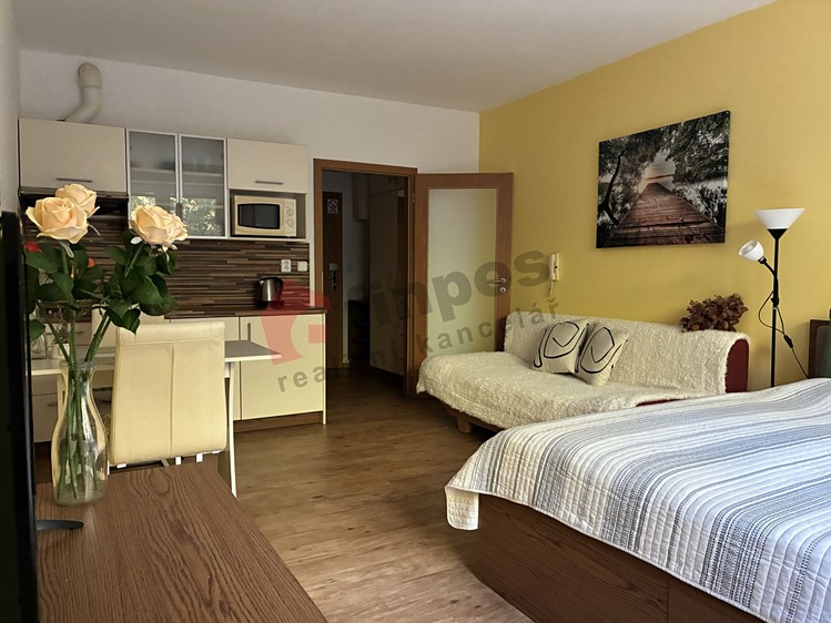 Wohnung 1+kk zum Kauf, 25 m² (6 von 29)
