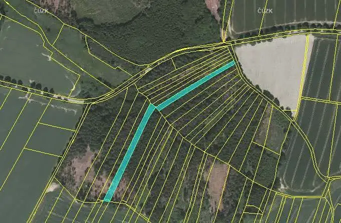Dražba lesa 15961 m², Dírná – náhled fotky 2