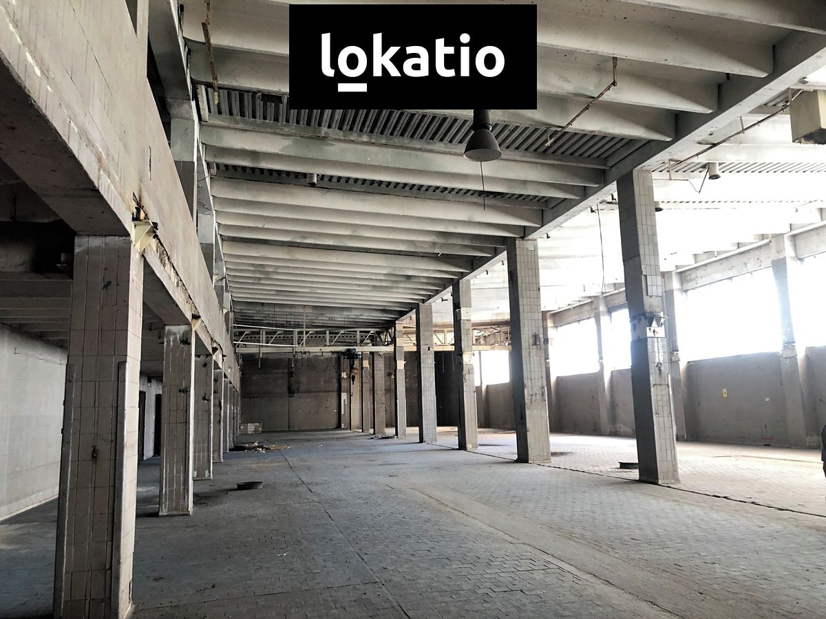 Pronájem skladového prostoru 3000 m² – fotografie 3
