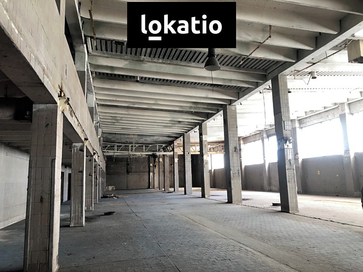Pronájem komerčního prostoru, 3 000 m² (3 z 13)