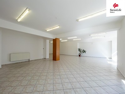 Pronájem komerčního prostoru, 120 m² (3 z 10)