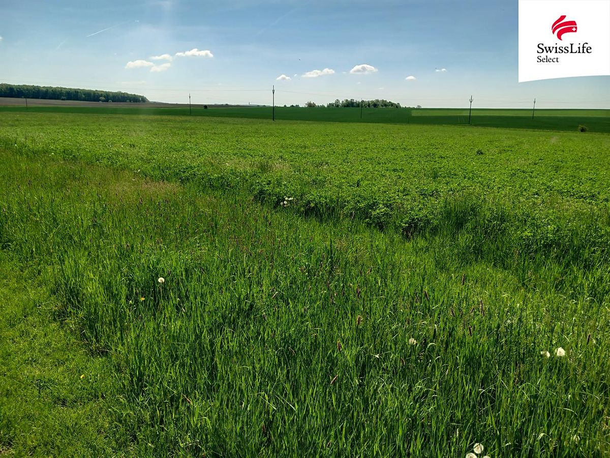 Prodej komerčního pozemku 1053 m² – fotografie 3
