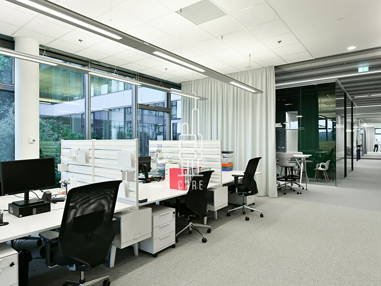 Pronájem komerčního prostoru, 2 120 m² (5 z 7)