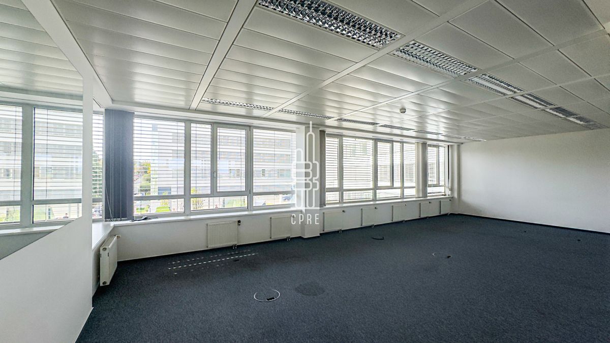 Pronájem kanceláře 325 m² – fotografie 5