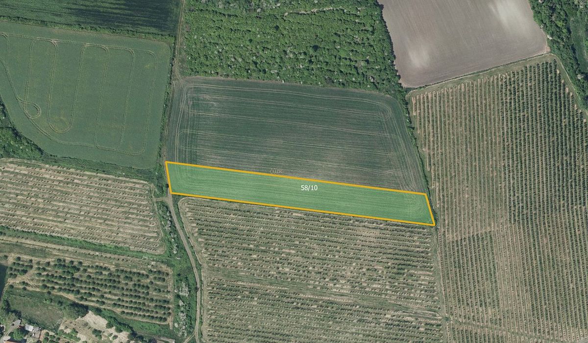 Prodej pole 7043 m², Želkovice – fotka 1 z 3
