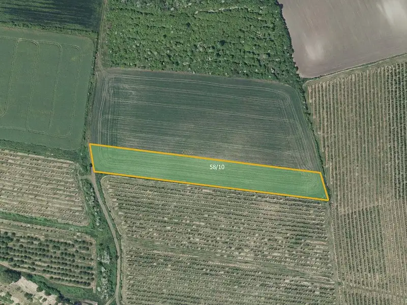 Prodej pole 7043 m², Želkovice – náhled fotky 1