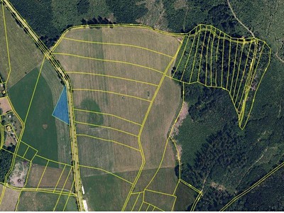Prodej  pole 2 260 m²