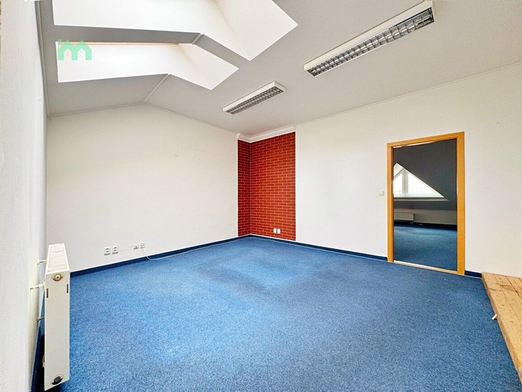 Pronájem komerčního prostoru, 100 m² (14 z 23)