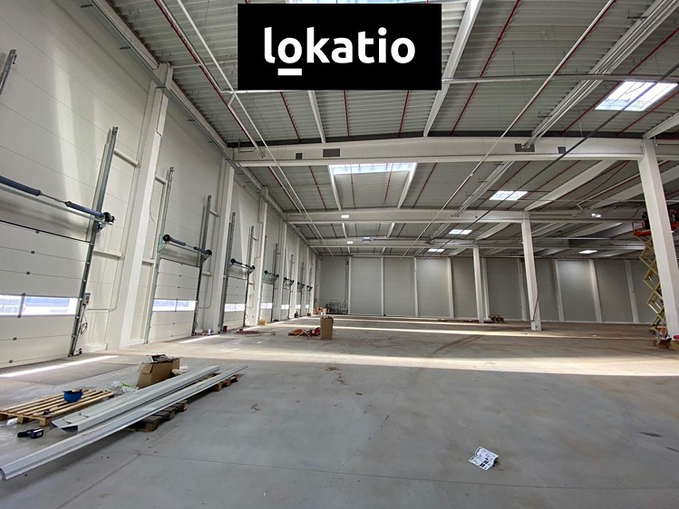 Gewerbefläche zur Miete, 1.310 m² (7 von 12)