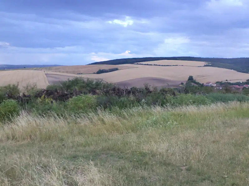 Dražba pole 4541 m², Morkůvky – náhled fotky 2