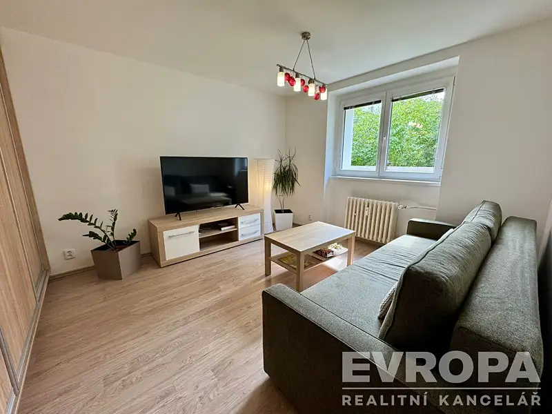 Pronájem bytu 1+1 30 m², Plzeň – náhled fotky 2