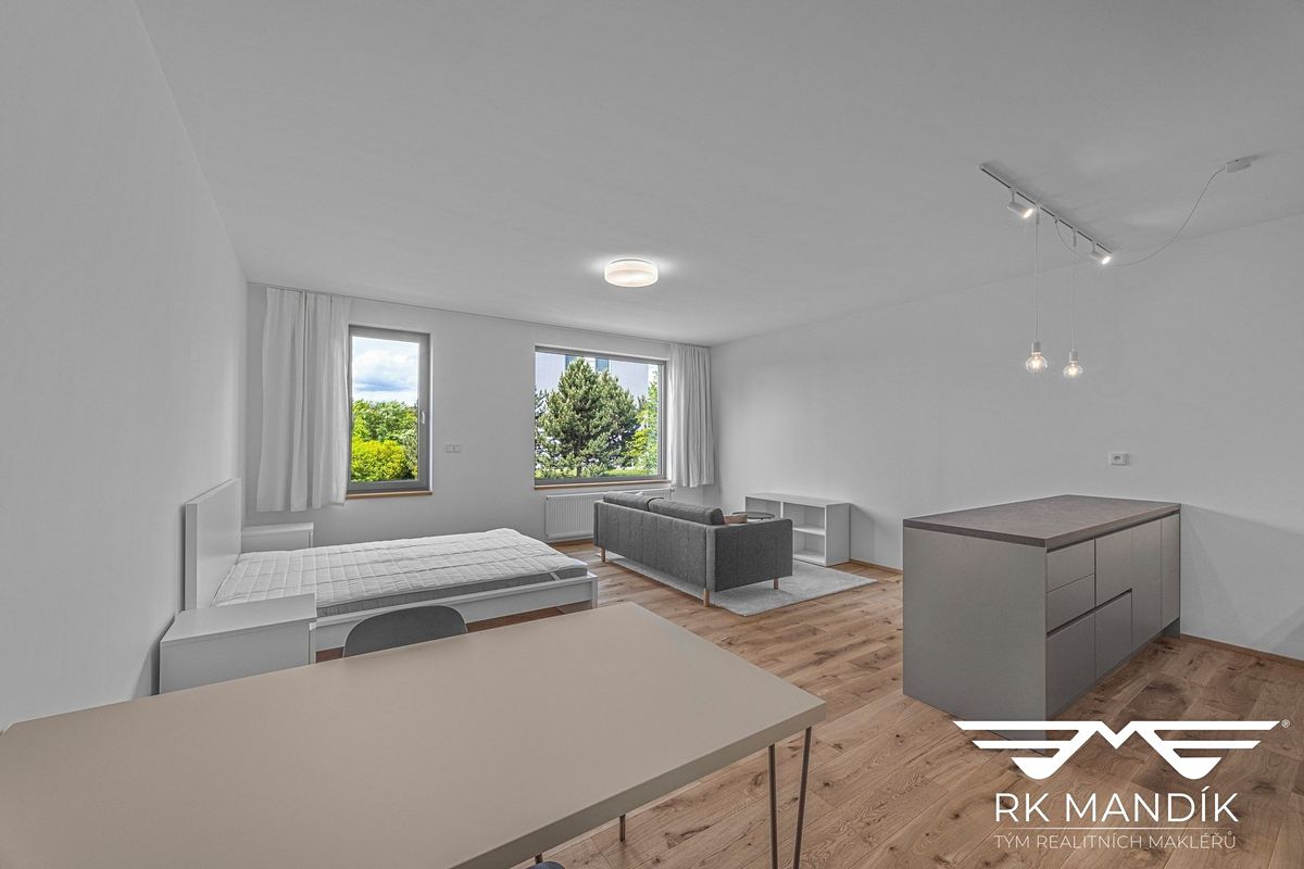Pronájem bytu 1+kk 45 m² – fotografie 4