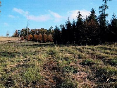 Prodej lesa 8722 m²